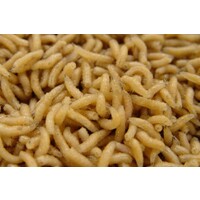 Levende Pinky's Maden | Mini Maden