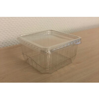 Insecten doosje | Krekelbakje met deksel