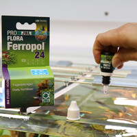ProFlora Ferropol 24