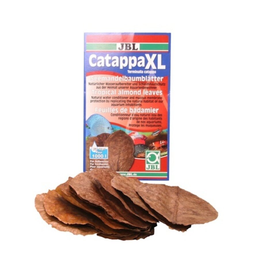 Catappa XL