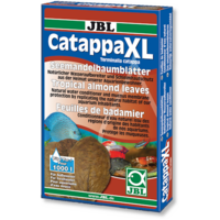 Catappa XL