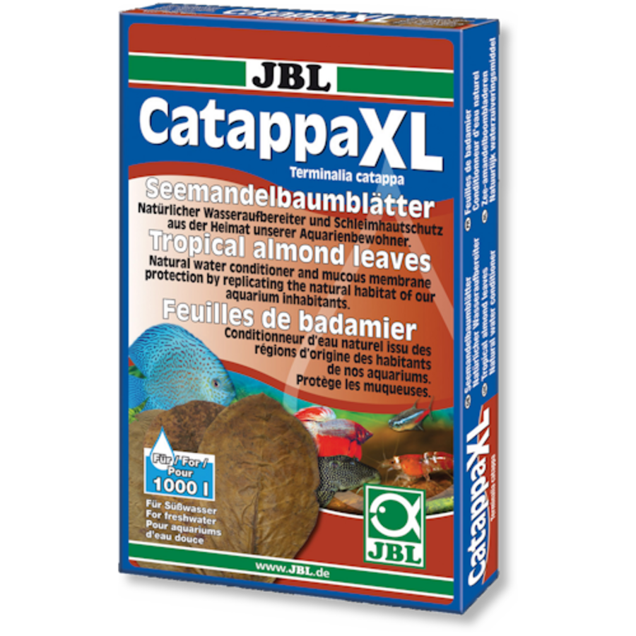 Catappa XL