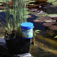 FloraPond - 8 Kogels