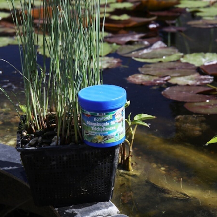 FloraPond - 8 Kogels