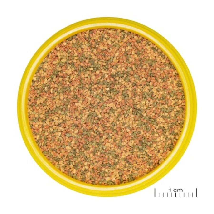 ProNovo Bel Grano XS