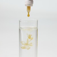 ProNovo Bel Fluid 50ML