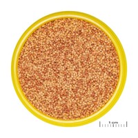 ProNovo Color Grano S 100ML