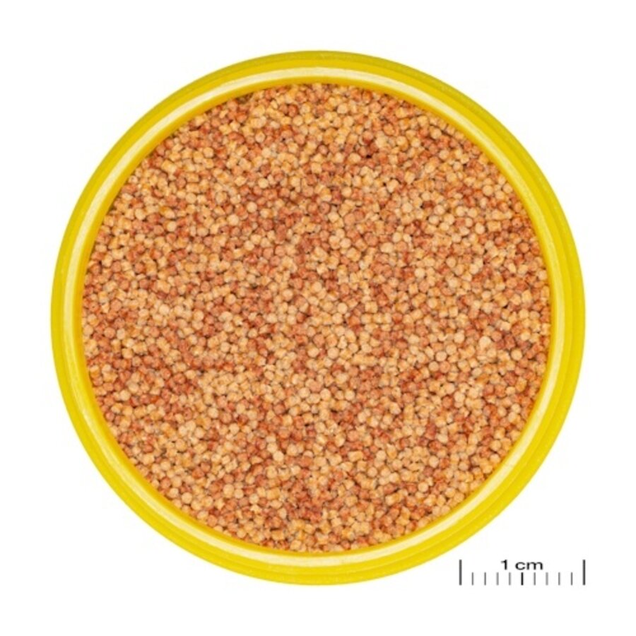 ProNovo Color Grano S 100ML