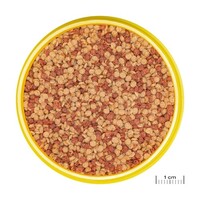 ProNovo Color Grano M 250ML