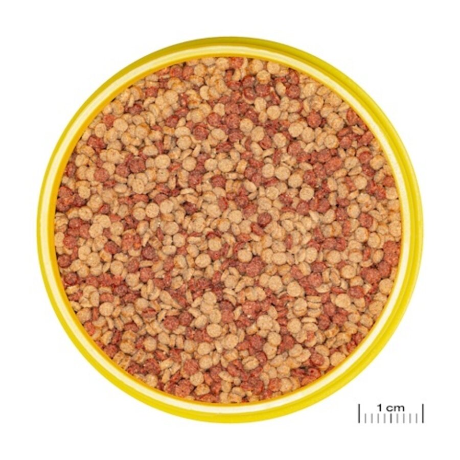 ProNovo Color Grano M 250ML