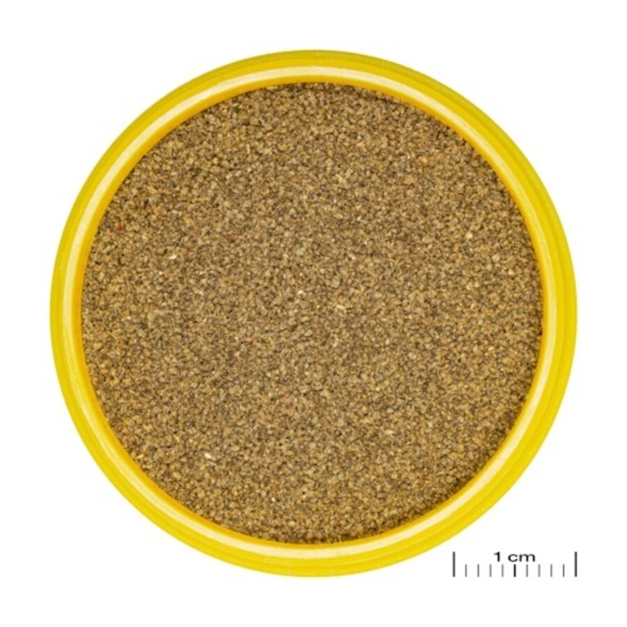 ProNovo Neon Grano XXS