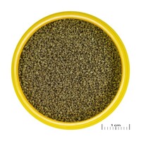 ProNovo Danio Grano XS