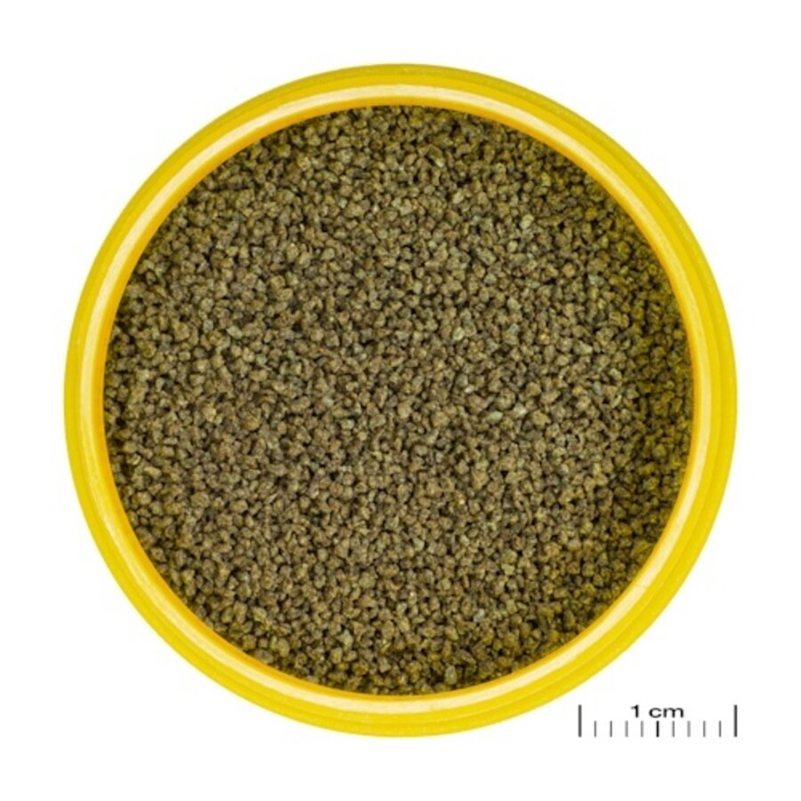 ProNovo Danio Grano XS