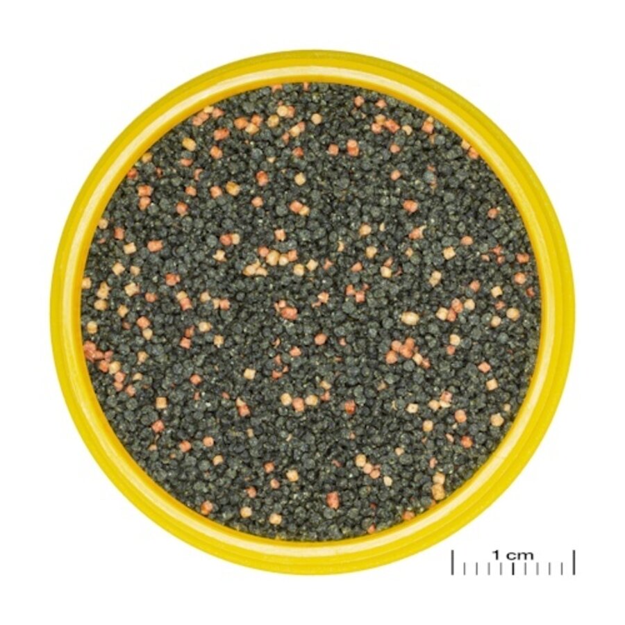 ProNovo Guppy Grano S