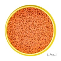 ProNovo Bits Grano M