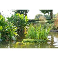 Drijvend eiland voor waterplanten 1 x 1 meter