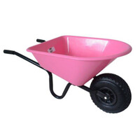 Kinderkruiwagen Kunststof Bak met Metalen Onderstel