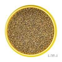 ProNovo Gourami Grano S 250ML