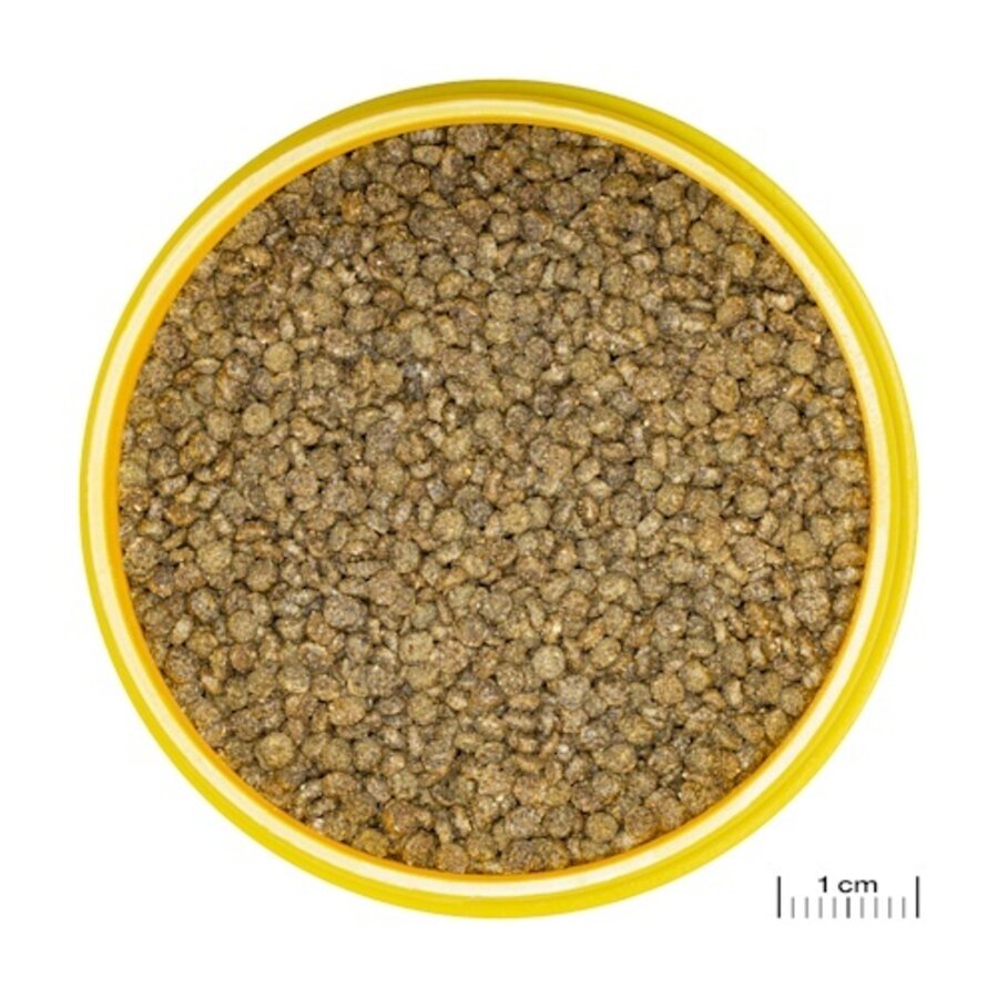 ProNovo Gourami Grano S 250ML