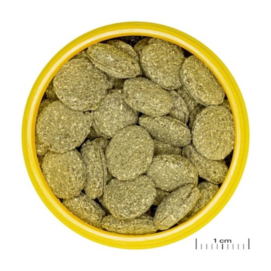 ProNovo Pleco Wafer M