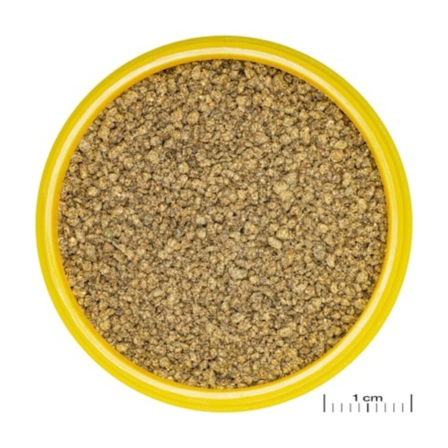 ProNovo Killifish Grano S 100ML