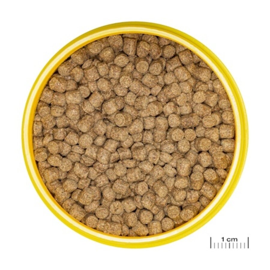 ProNovo LOTL Grano M 250ML