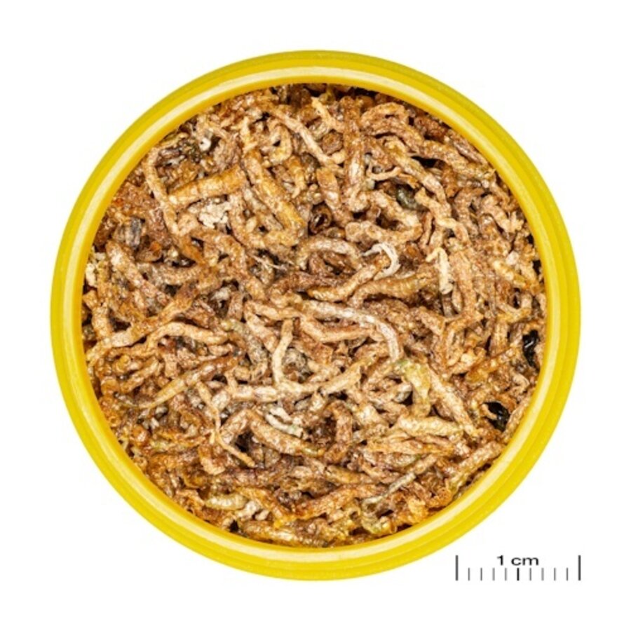 ProNovo Fil - Gevriesdroogde rode muggenlarven