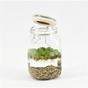 Weckpot Keramieke Deksel Met Aquariumplant