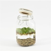 Weckpot Keramieke Deksel Met Aquariumplant