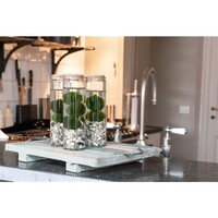 Chladophlora Aegagropphila 2 Stuks In Glas