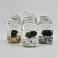 Weckpot Met 2 Bollen Chladophlora
