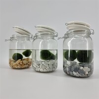 Weckpot Met 2 Bollen Chladophlora