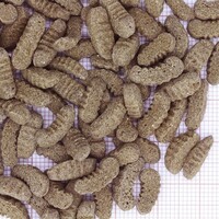 ProPond Silkworms M 0,34KG