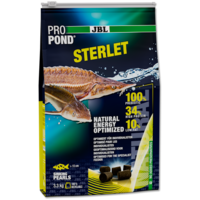 ProPond Sterlet