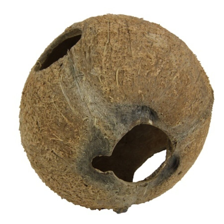 Cocos Cava L natuurlijke kokosnoot schuilplaats voor aquarium en terrariumdieren