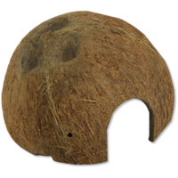 Cocos Cava L natuurlijke kokosnoot schuilplaats voor aquarium en terrariumdieren