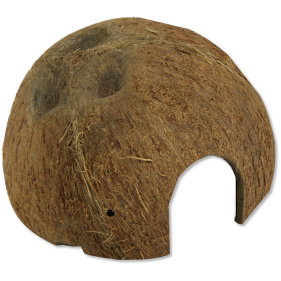 Cocos Cava L natuurlijke kokosnoot schuilplaats voor aquarium en terrariumdieren