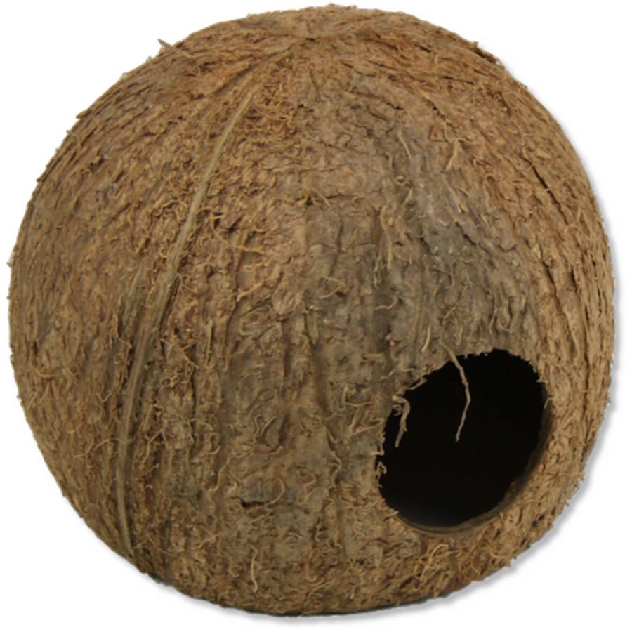 Cocos Cava L natuurlijke kokosnoot schuilplaats voor aquarium en terrariumdieren