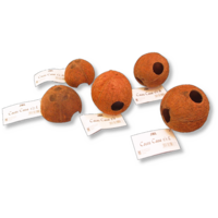 Cocos Cava L natuurlijke kokosnoot schuilplaats voor aquarium en terrariumdieren