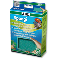 Spongi - Reinigingsspons