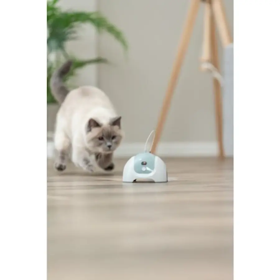 Catch Me met Afstandsbediening