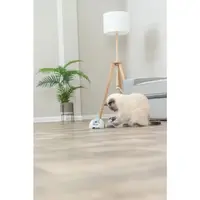 Catch Me met Afstandsbediening