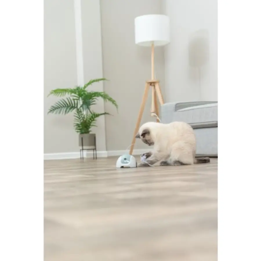 Catch Me met Afstandsbediening