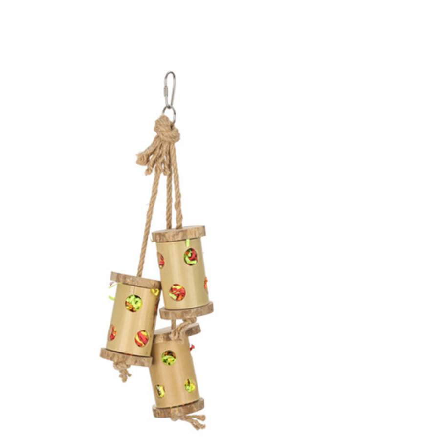 Bamboo Climb n Forage