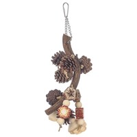 Pinecone Harvest