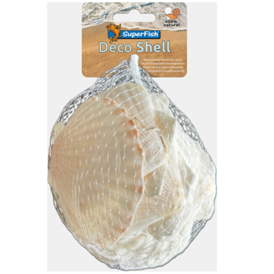 Deco schelpen coquille wit | 200 gram | natuurlijke aquariumdecoratie