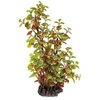 Art Plant 25CM Rotala