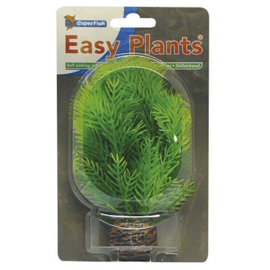 Easy Plants Laag 13CM Nr. 9