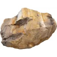 Aquascape Red Wood Rock 5KG