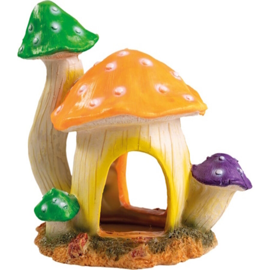 Mushroom House L